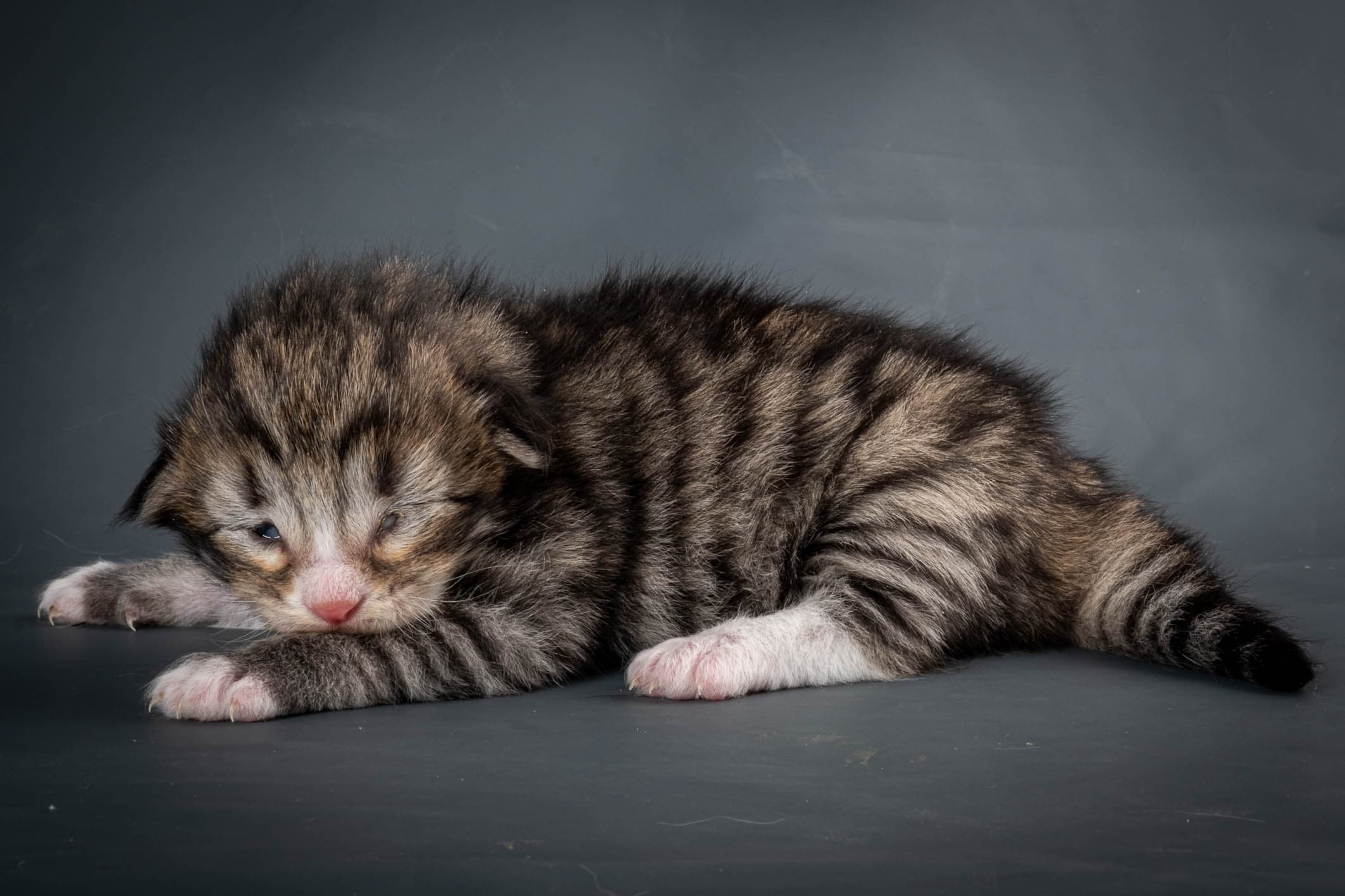 Sunset in the mountains